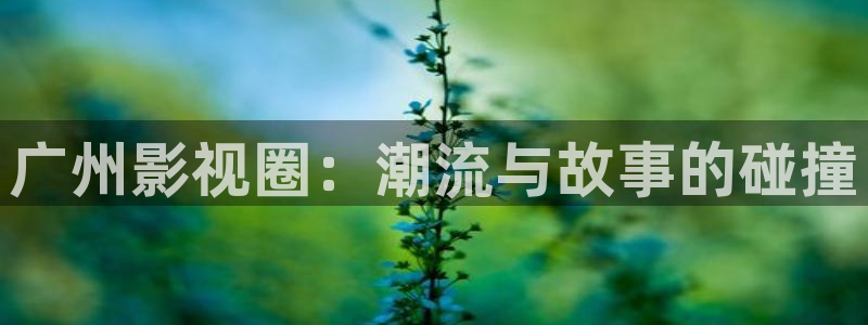 四虎影院98：广州影视圈：潮流与故事的碰撞