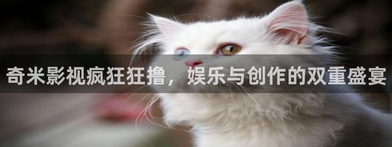 久久98精品视频：奇米影视疯狂狂撸，娱乐与创作的双重盛宴