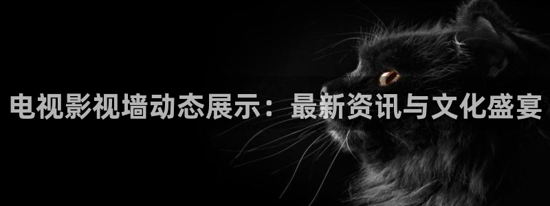 98神马电影院：电视影视墙动态展示：最新资讯与文化盛宴