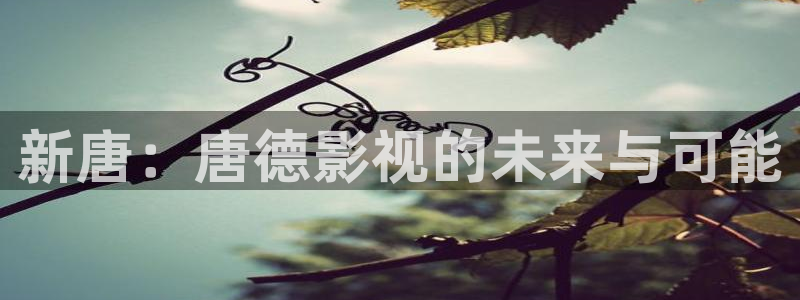 1998电影院：新唐：唐德影视的未来与可能