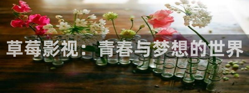 请回答1988高清资源：草莓影视：青春与梦想的世界