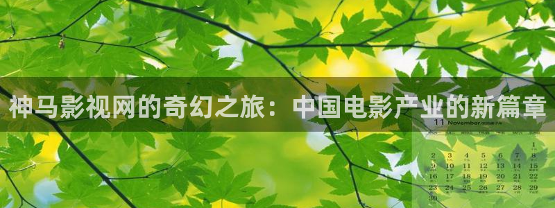 798影视电视剧免费观看
