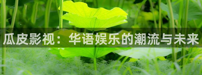 98影院免费观看