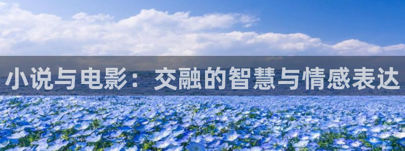 98影视剧电视剧