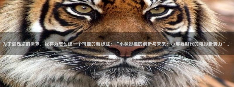请回答1988在线播放免费观看